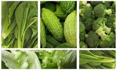 Alimentos destinados a grupos específicos de población<br /><span style="font-size:0.5em;padding-left:1em;">- Cursos de farmacia y veterinaria</span>